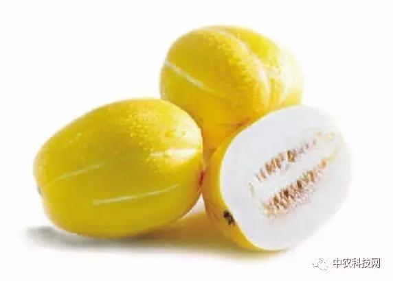 吃瓜减肥会不会便秘,轻松减脂，预防便秘的秘诀