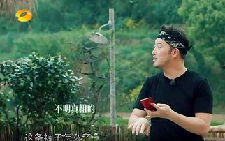 吃瓜爆料大全沈月,吃瓜爆料大全中的青春偶像