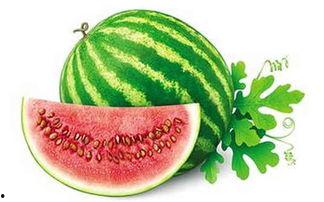 吃瓜不准吃瓜,揭秘“吃瓜不准吃瓜”背后的真相与启示