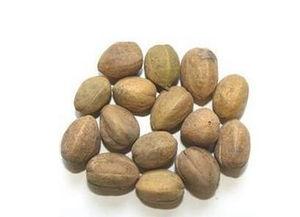 吃瓜爆料小巴豆,吃瓜爆料小巴豆带你探秘明星幕后故事