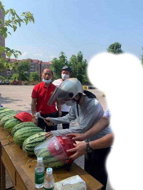 日照岚山吃瓜事件,一场引发热议的网络狂欢