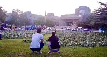 日照岚山吃瓜事件,一场引发热议的网络狂欢