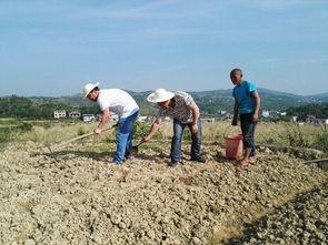 日照岚山吃瓜事件,一场引发热议的网络狂欢