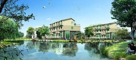 水岸华庭吃瓜,吃瓜群众的热议焦点