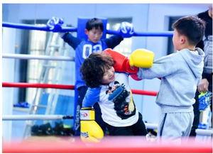 拳击吃瓜视频,拳拳到肉！揭秘拳击吃瓜视频背后的热血与激情