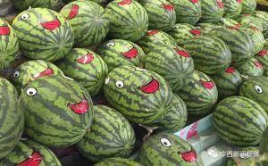 靠谱吃瓜,揭秘娱乐圈那些不为人知的幕后故事