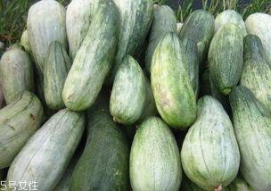 酥瓜是怎么吃,从清爽沙拉到美味甜品