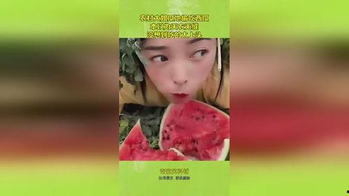 吃瓜日记本,揭秘娱乐圈幕后故事