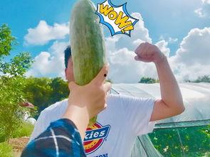 每天都和朋友吃瓜,与好友共享的欢乐时光