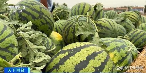 每天都和朋友吃瓜,与好友共享的欢乐时光