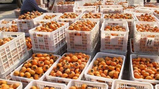 临沂特色吃瓜视频,吃瓜视频里的清凉滋味