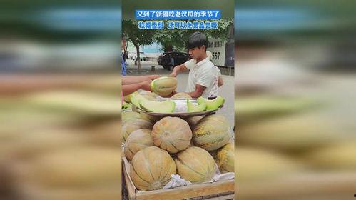 香港人吃老汉瓜,老汉瓜的独特魅力