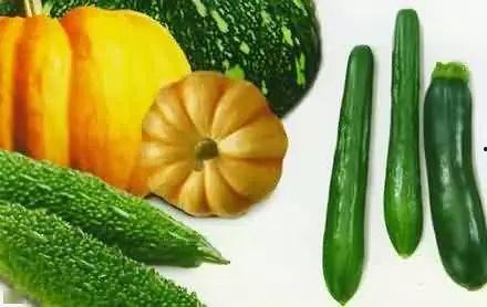 学堂吃瓜,揭秘校园里的那些“瓜”