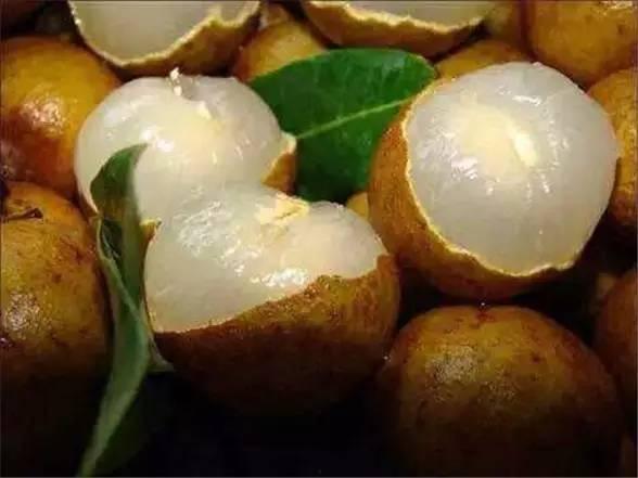 福州协和吃瓜,揭秘校园里的“吃瓜”盛事