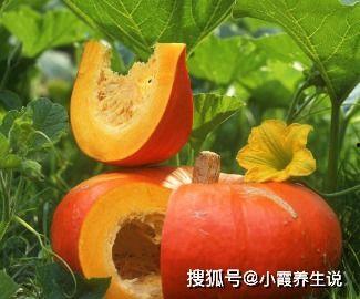 海南长寿瓜怎么吃,养生美味尽在其中