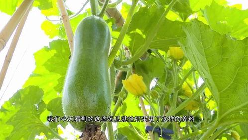 吃瓜爆料区,吃瓜爆料区带你直击明星幕后真相