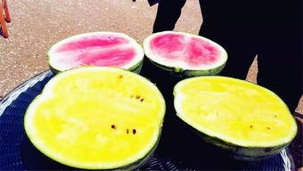 吃瓜爆料区,吃瓜爆料区带你直击明星幕后真相