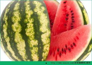 天天吃姜饼瓜好吗,每日享用，健康益处多