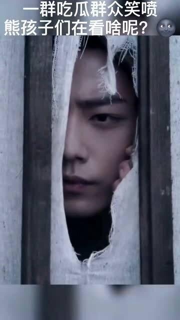 大型吃瓜群众陈情令,大型吃瓜群众的热血青春传奇