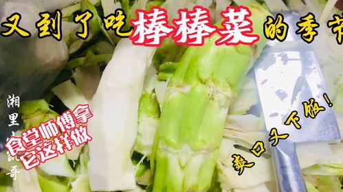 涉外老师吃瓜,揭秘背后真相与影响