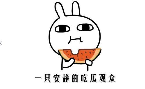 网络上吃瓜意思,揭秘“吃瓜群众”背后的趣味与真相