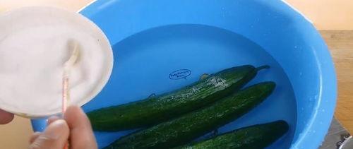 小脆瓜是乳瓜吗怎么吃的