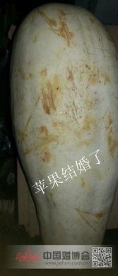 吃羊肉可以吃角瓜,营养互补的美食探索