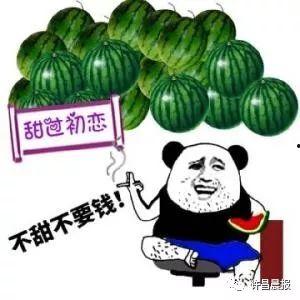 许昌吃瓜幼儿,一场意外引发的全民关注