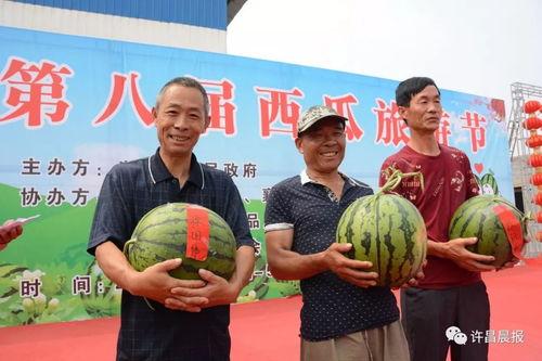 许昌吃瓜幼儿,一场意外引发的全民关注