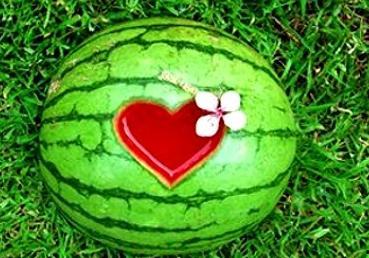 梦见别人吃梨瓜,揭秘梦中他人品尝梨瓜的神秘寓意