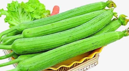 天天吃瓜网每日吃瓜,揭秘娱乐圈最新热点，每日吃瓜不停歇