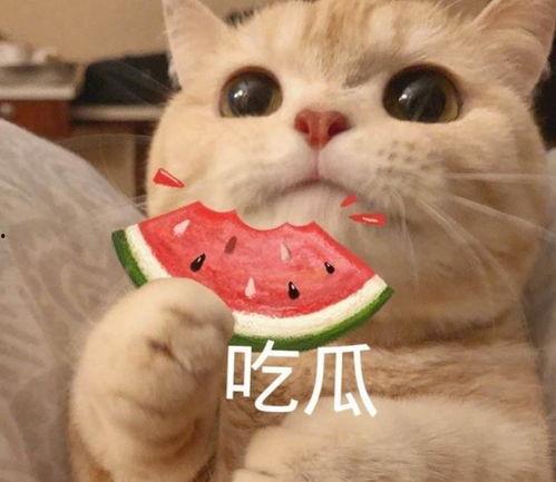 站在吃瓜的前线,揭秘娱乐圈最新热点事件