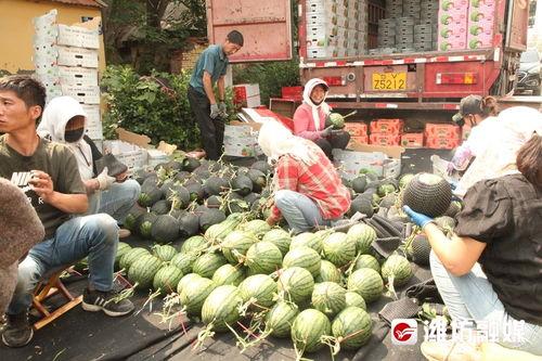 站在吃瓜的前线,揭秘娱乐圈最新热点事件
