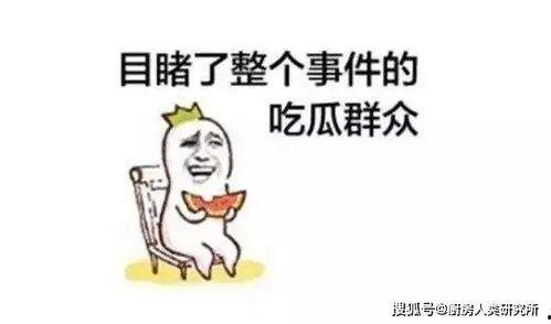 每日聪慧吃瓜山东话,智慧生活乐无边