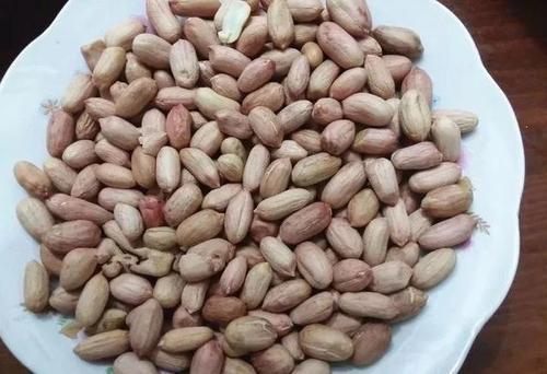 吃瓜子豆瓜着,品味生活的小确幸