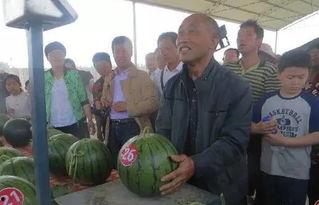 泽溪 吃瓜群众,揭秘“吃瓜群众”背后的故事