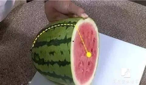 吃瓜叉子,品味生活的小确幸