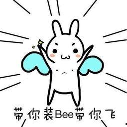 瓜哥带你吃菌,瓜哥带你探索美味菌菇之旅