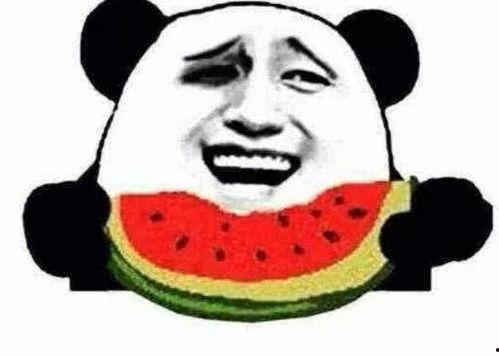 瓜哥带你吃菌,瓜哥带你探索美味菌菇之旅