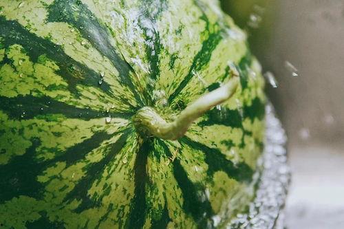 吃瓜东北人,独特方言中的幽默与智慧