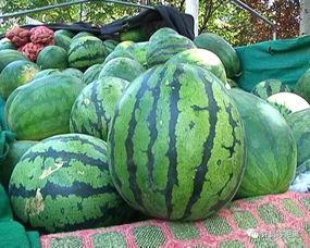 眼选吃瓜,揭秘娱乐圈那些不为人知的幕后故事