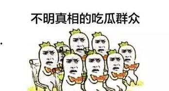 螃蟹吃瓜群众,揭秘网络时代的“吃瓜”现象
