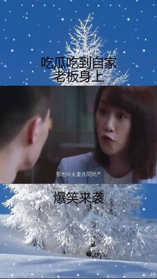 吃瓜的总裁,揭秘娱乐圈幕后风云