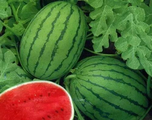 大美吃瓜了,揭秘娱乐圈幕后故事