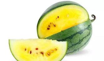 喜欢吃脆瓜还是沙瓜好,脆瓜与沙瓜的口感对决，你更偏爱哪一种？