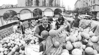 吃瓜热心的朝阳