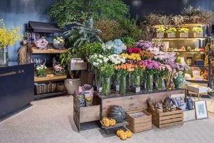 吃瓜视频花店,揭秘网红花店的魅力与秘密