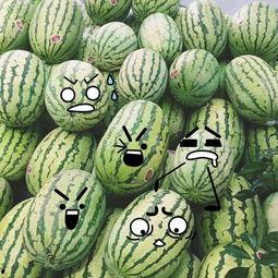 心跳吃瓜,揭秘心跳与吃瓜的奇妙关系