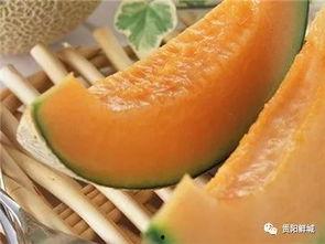 心跳吃瓜,揭秘心跳与吃瓜的奇妙关系