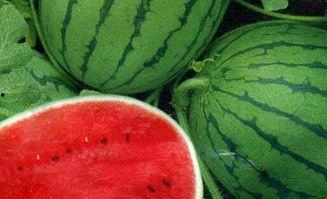 不敢随便吃瓜,揭秘网络舆论背后的真相